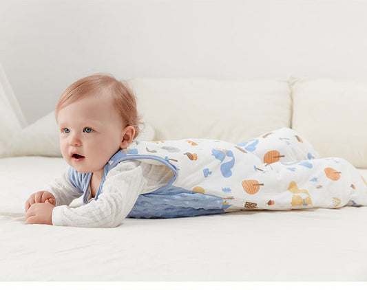 Wholesale EXW Prices Baby Sleep Sack Anti-Startle Cotton Infant Wearable Blanket Spring Autumn Newborn Sleeping Bag Supplier